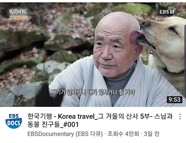 안 눌러볼수가 없는 유튜브 썸네일.jpg | 인스티즈