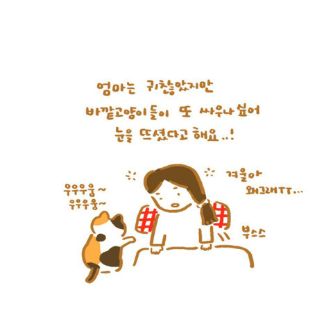 은혜갚은 고양이 | 인스티즈