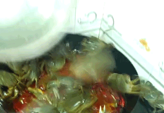 싱싱해서 난리남.gif | 인스티즈