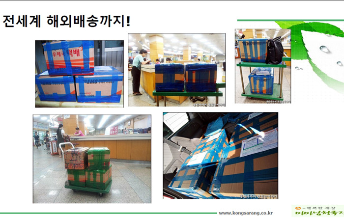페마연 이미지