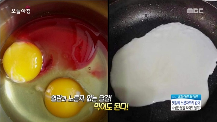 계란에서 피가나와요.jpg | 인스티즈