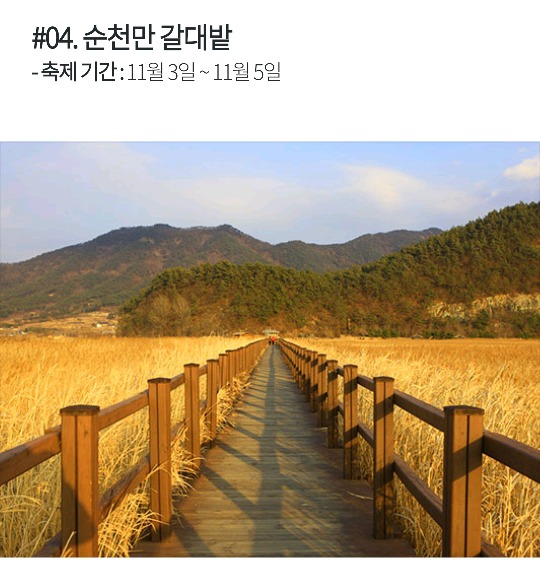 [국내여행] 가을가을한 국내 낭만 여행지 BEST 5 | 인스티즈