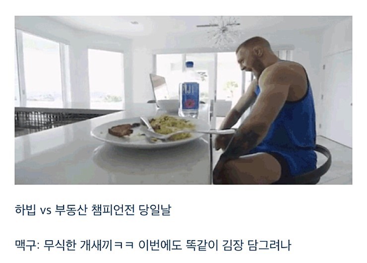 맥그리거는 왜 하빕과의 경기를 수락했을까? 사진 정리 | 인스티즈