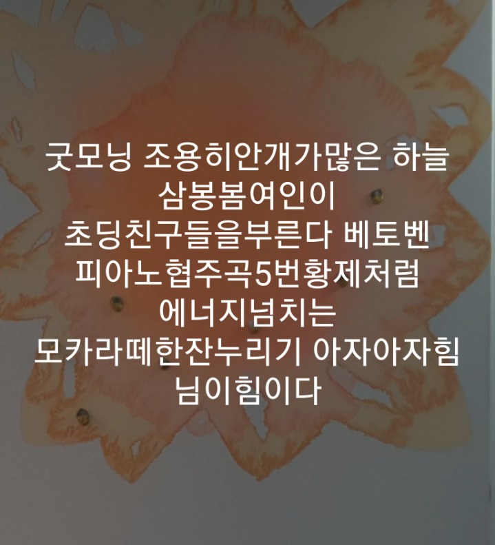 봄삼 이미지