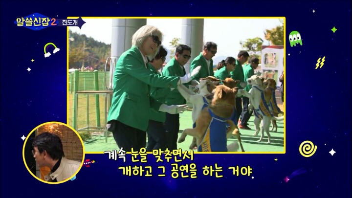 알쓸신잡) 진도의 관광지 + 진도를 유시민이 추천하는 이유 (댕댕이 주의) | 인스티즈