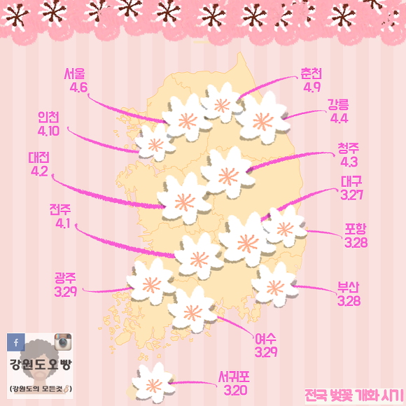 벚꽃이 핀다네요 ..... 나는 같이 갈 사람이 없어서 패스 여러분들이라도... | 인스티즈