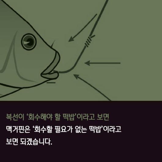 알아둘수록 유식해지는 상식모음 Part.2 | 인스티즈