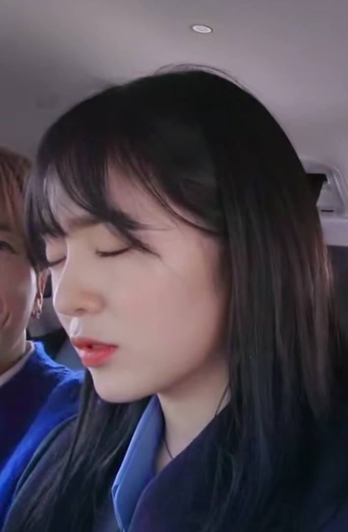 아이린의 기묘한 자동차 여행.gif | 인스티즈