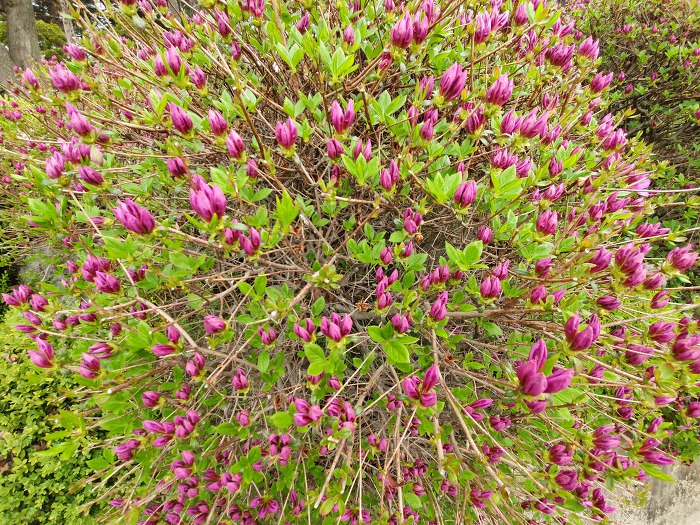 99925F395CBACF502987CE