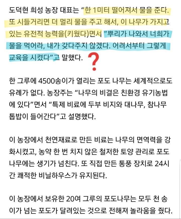 내 농장에서 약한 포도는 살아남을 수 없다 | 인스티즈