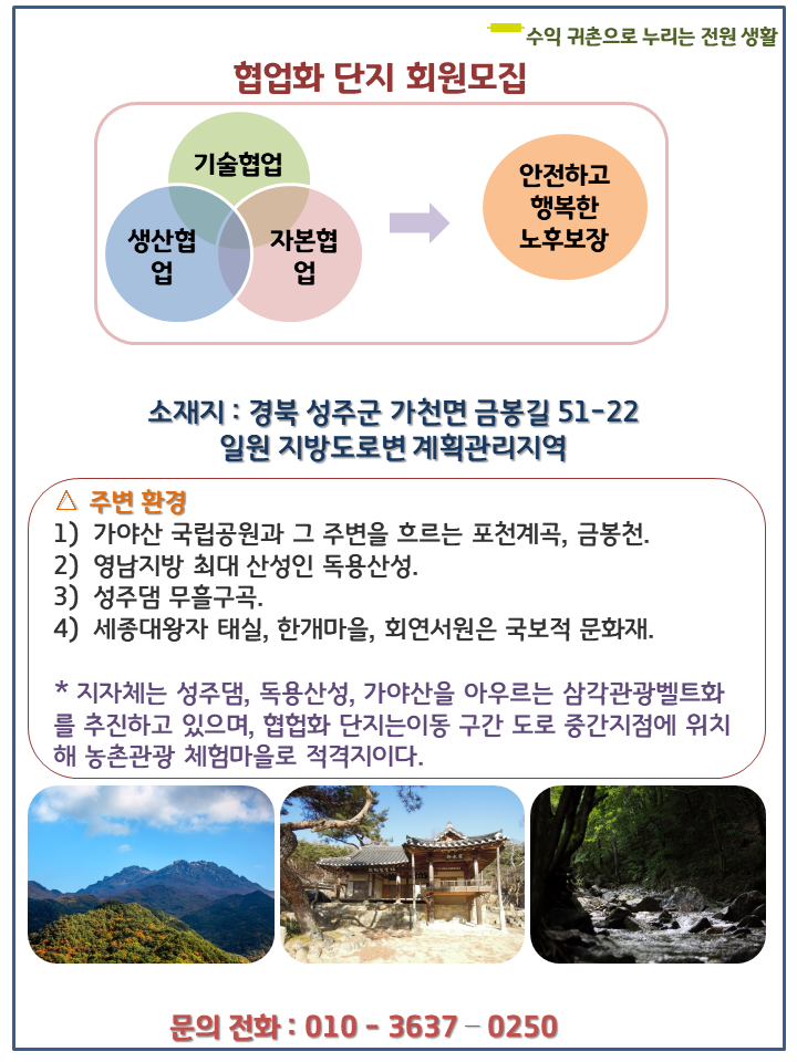 금봉천 이미지