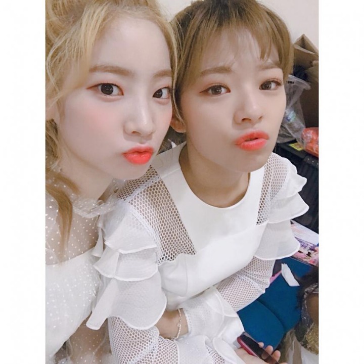 트와이스 다현 인스타그램 (feat 정연,모모,미나,사나) | 인스티즈