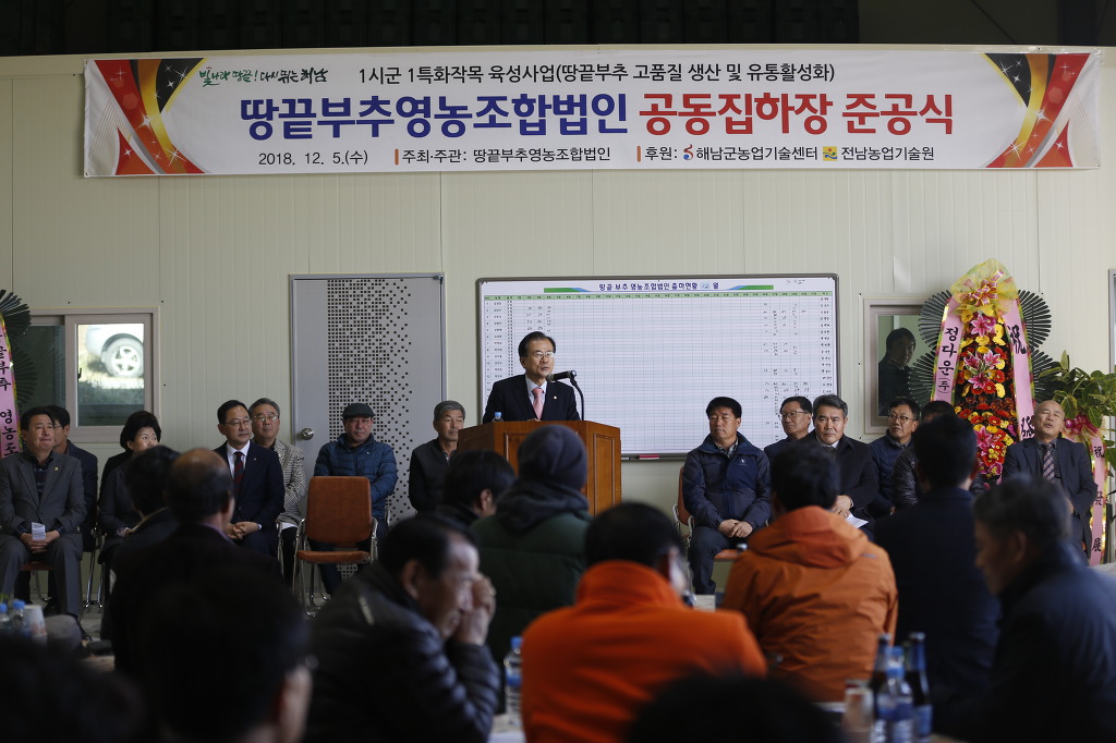 땅끝부추 이미지