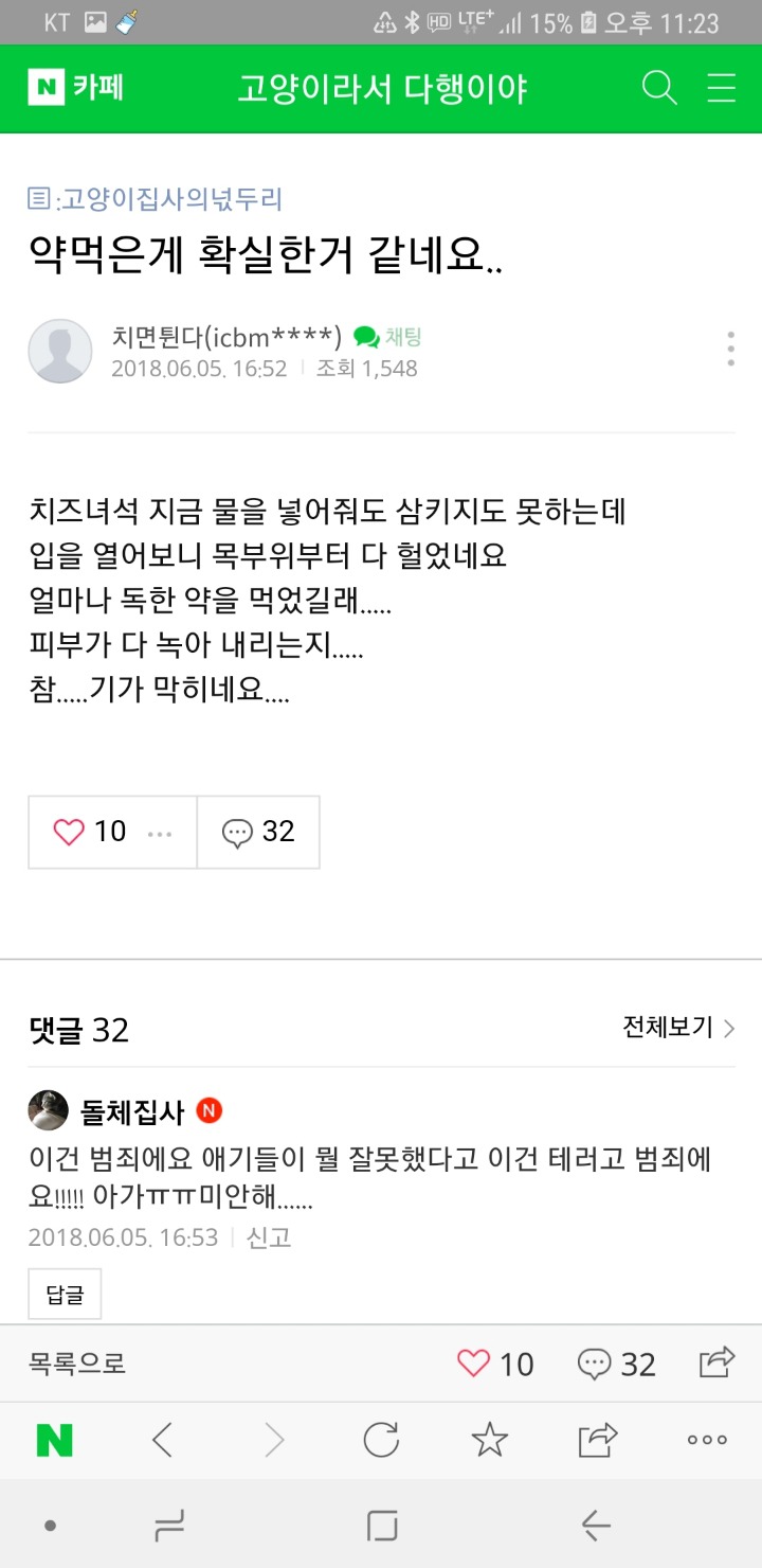 집에서 아깽이 몇십마리 키우게 됐다는 치면튄다님 고양이들이 다 죽어가고있어 | 인스티즈