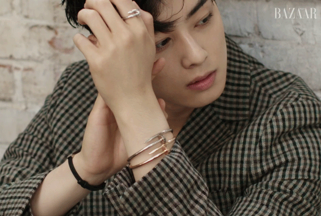 차은우 까르띠에 화보 움짤.gif | 인스티즈