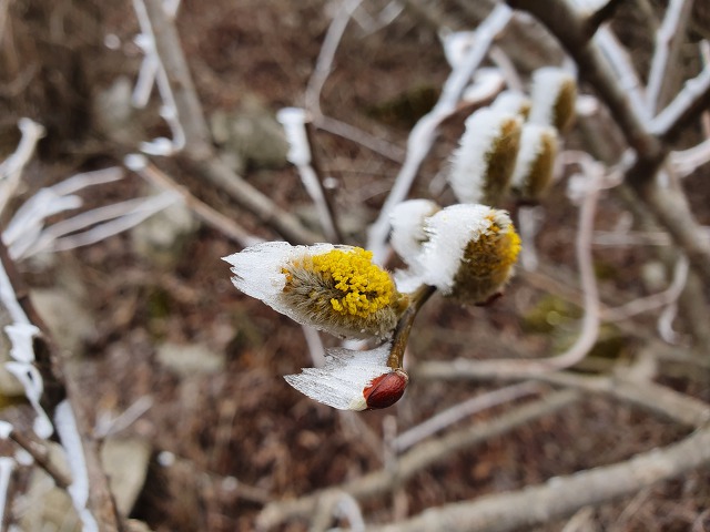 99AB2C355EACB56926339F