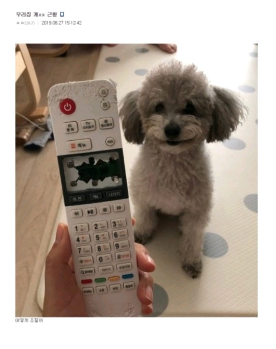 와이 쏘 시리어스 | 인스티즈