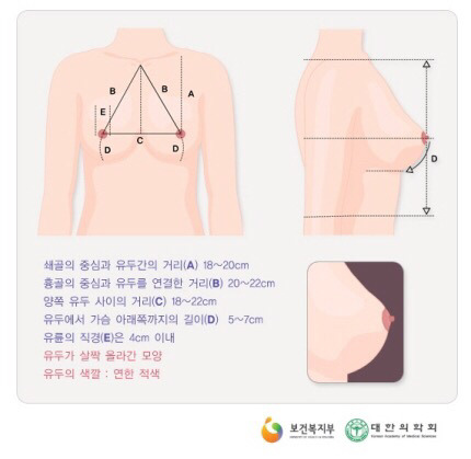 다시보는 보건복지부-아름다운 가슴이란? | 인스티즈