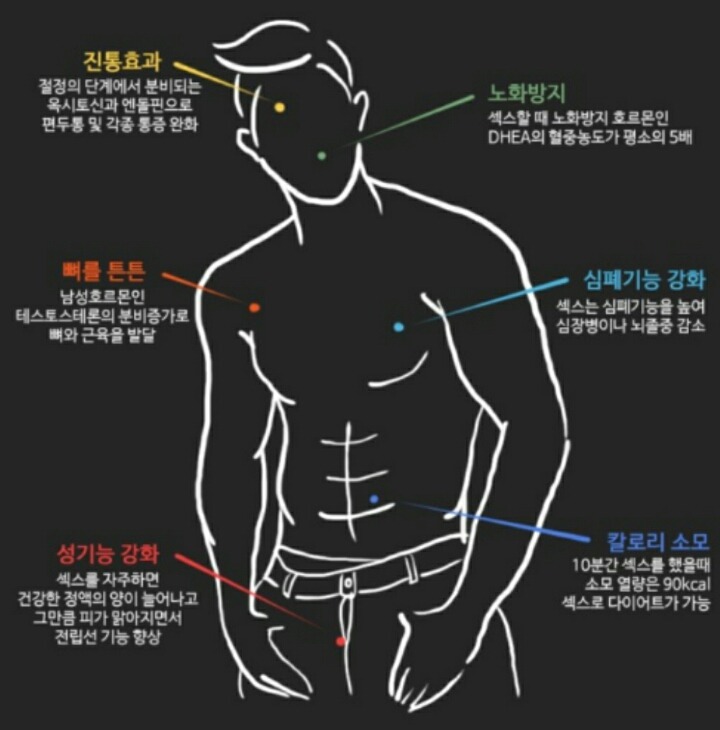섹스가 남자에게 미치는 영향 | 인스티즈