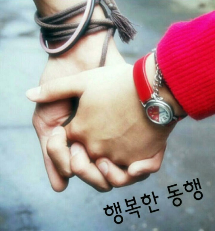 세종영재교육연구원 이미지