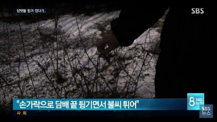 담뱃불을 잘 꺼야하는 이유 | 인스티즈