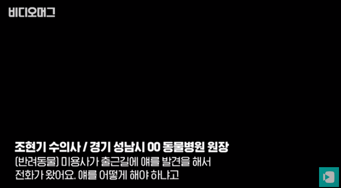 폭염 속 버려진 똘똘이가 모니로 개명한 사연 | 인스티즈