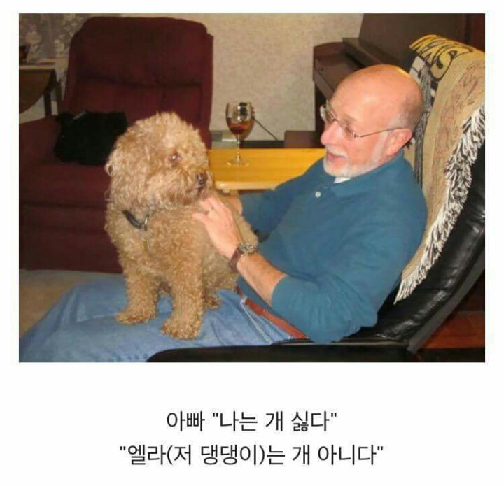 아빠 개 싫어한다 | 인스티즈