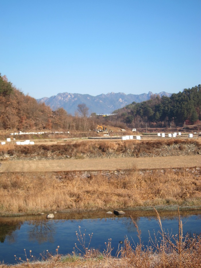 오도산식당 이미지