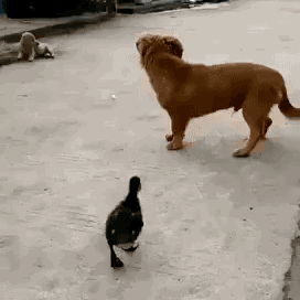 X지문덕.gif | 인스티즈