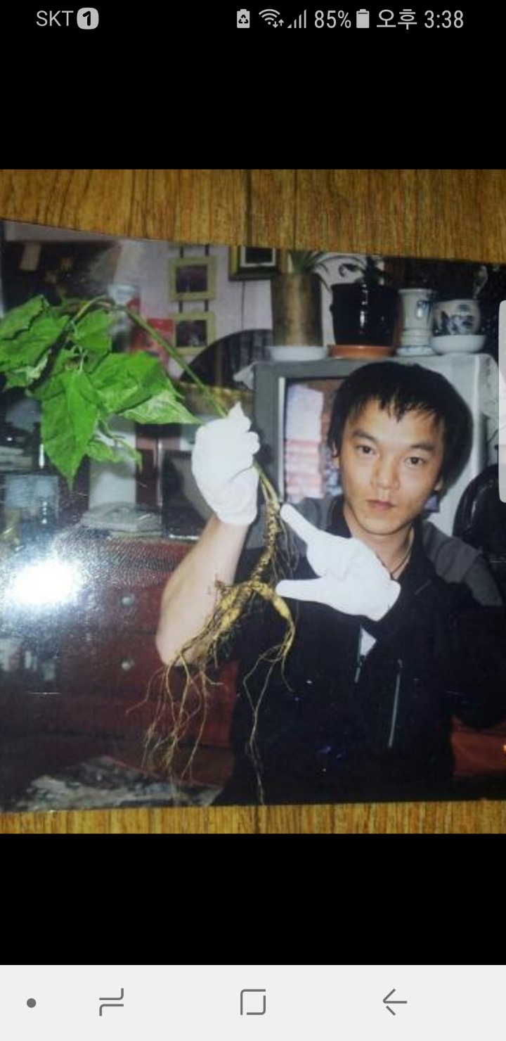 제３칼라 이미지
