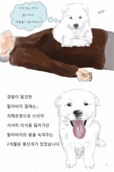할아버지를 지킨 아기풍산개.jpg | 인스티즈