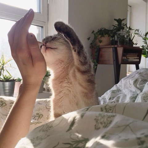 몽글몽글 이미지