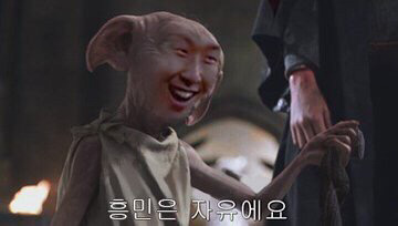 도비는 자유에요 | 인스티즈
