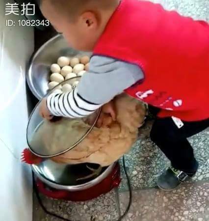 백숙이 먹고싶은 아이 | 인스티즈