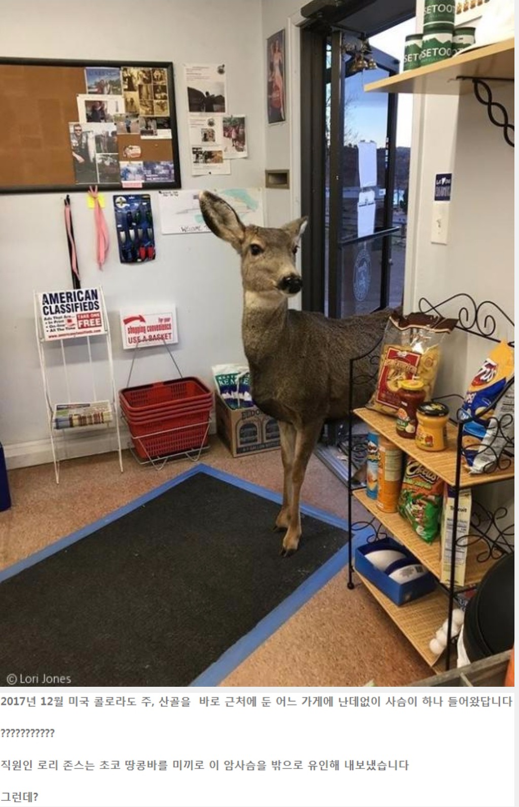 암사슴이 들어왔는데...jpg | 인스티즈