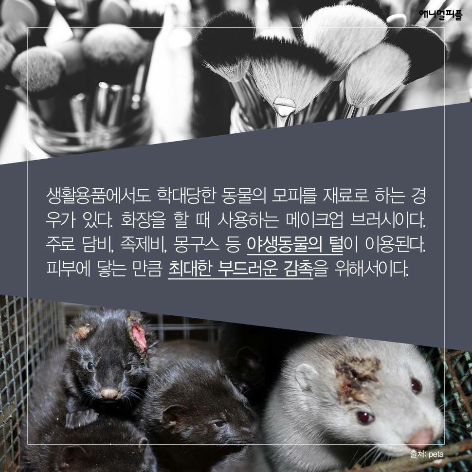 ??? : 아니 ㅅㅂ 말 못하는 강아지를 왜 때려...무슨 죄가 있다고... | 인스티즈