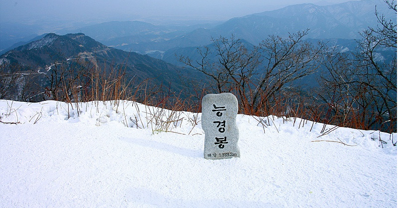 (주)유진여행사 이미지