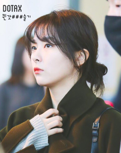 코끼리가 나 쎈 이유.gif | 인스티즈