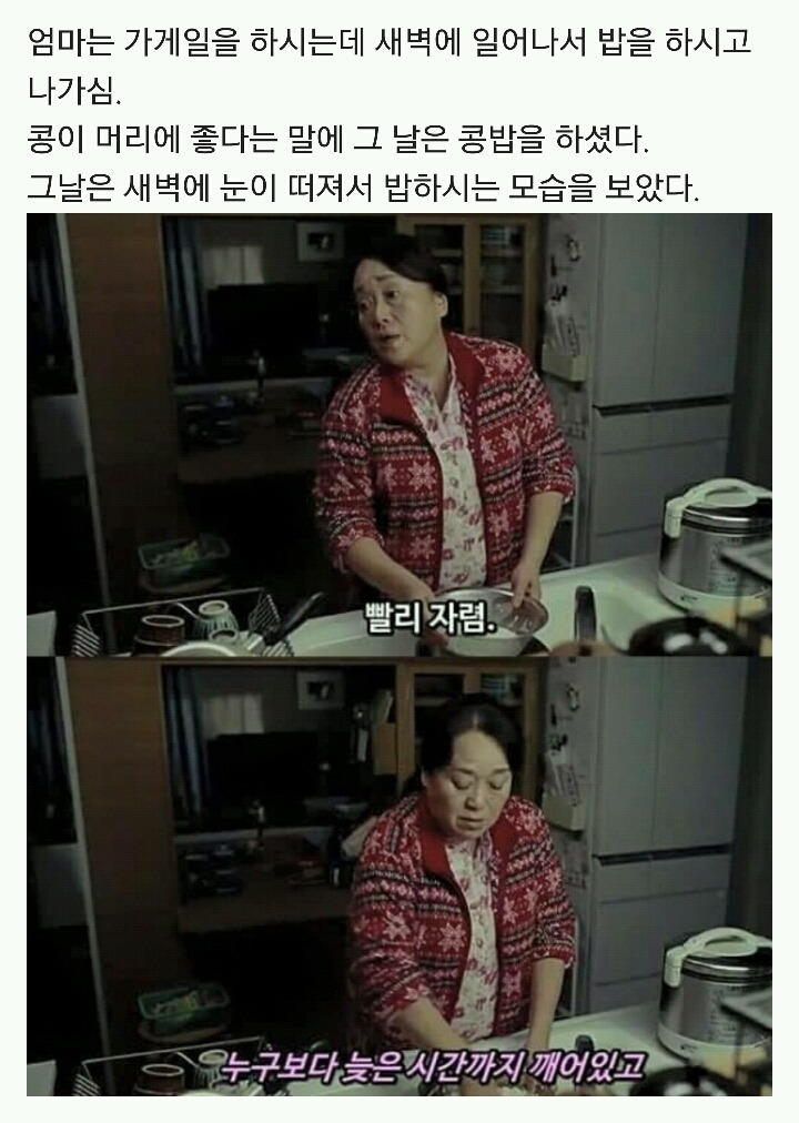 고3이라 예민해서 그런거니 봐준다 vs 고3이고 나발이고 팬다 | 인스티즈