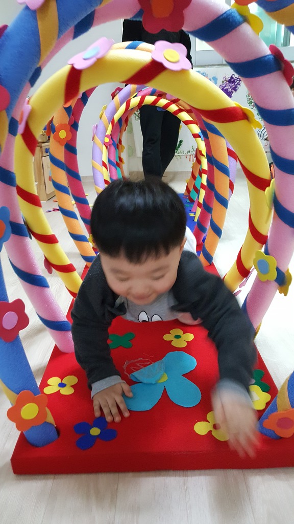 킹콩플라워 이미지