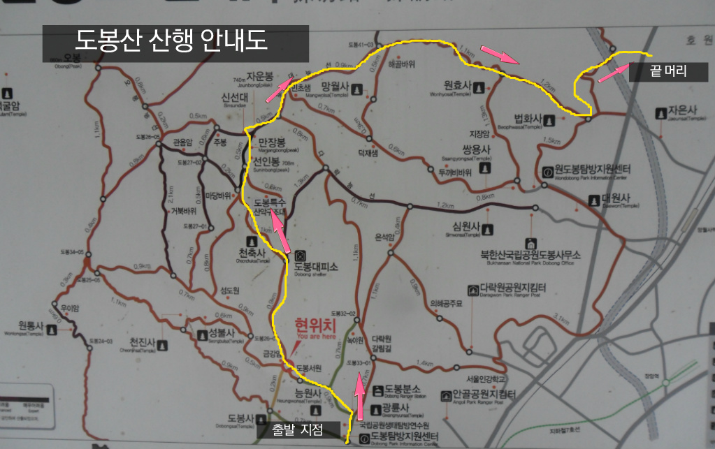 일육족발 이미지