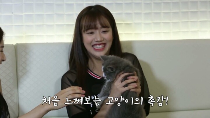 귀여운 에이프릴 나은 | 인스티즈