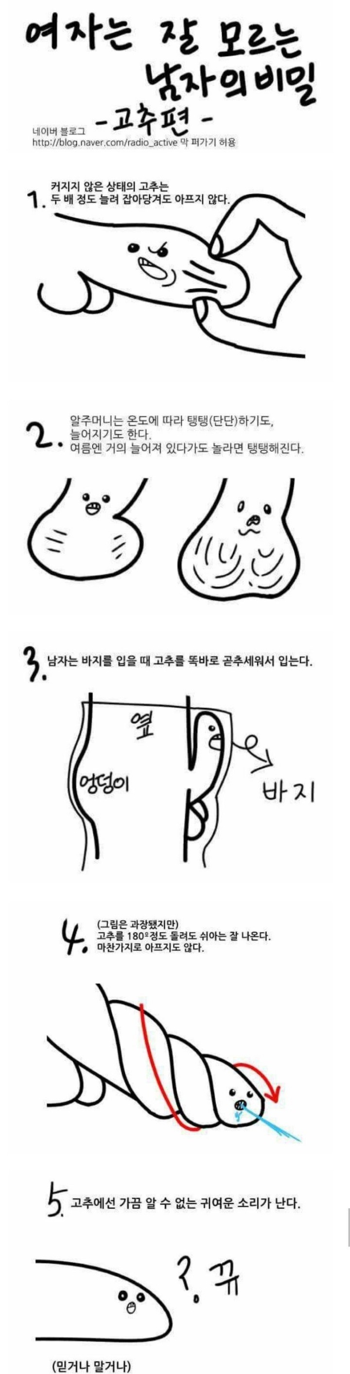 여자는 모르는 남자 꼬추의 비밀 | 인스티즈