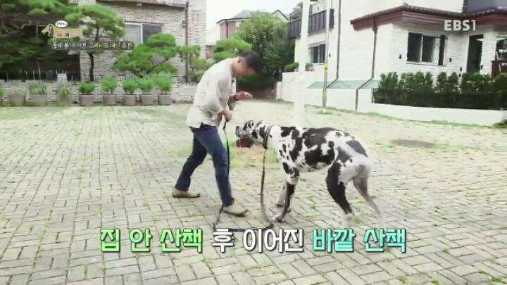 강형욱 훈련사에게 감탄한 세나개 제작진과 견주들.jpg | 인스티즈