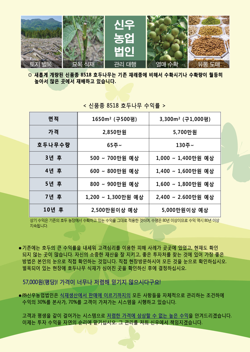 법인자연 이미지