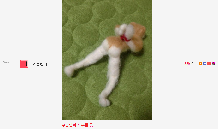 반응 난리난 일본 다이소 인형만들기 키트.JPG | 인스티즈