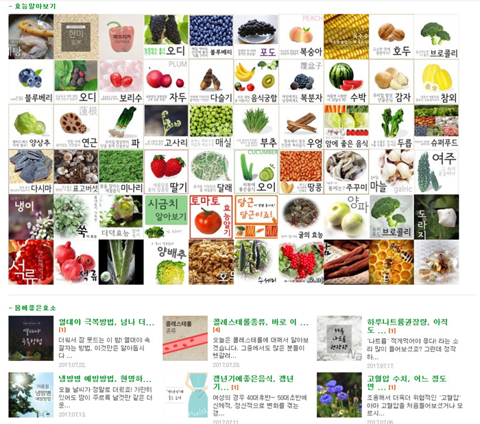 페마연 이미지