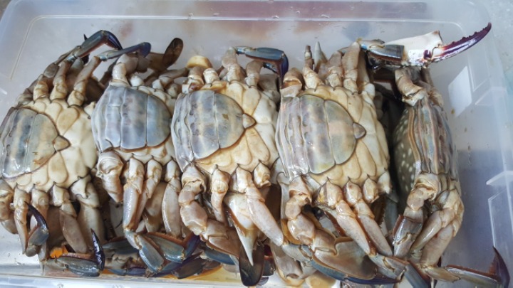 밥도둑 이미지