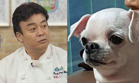 다음중 가장 완벽한 싱크로율을 보이는 커플은? | 인스티즈
