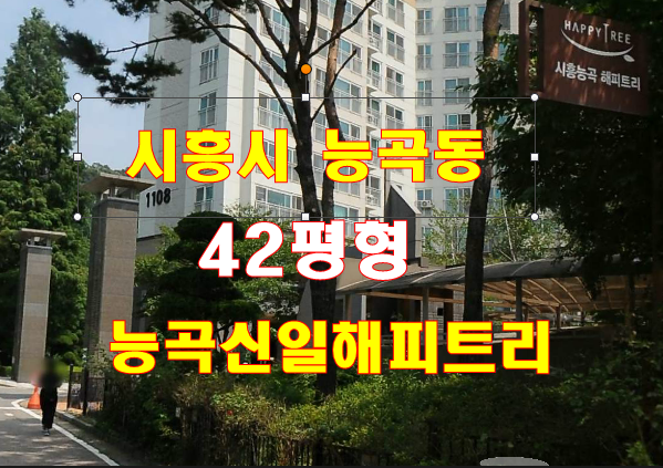 해피수목토 이미지